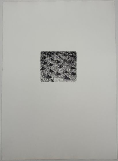 Markus RAETZ (1941-2020) 
Petit tas
Gravure...