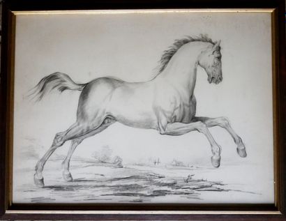 School of the XIXIth c.
The horse
Print on...