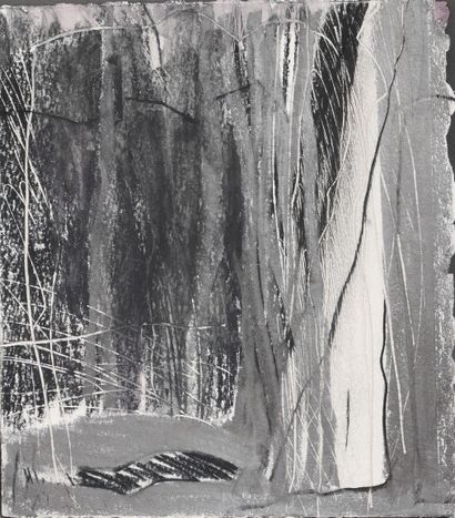 Catherine BOLLE-MEYER (1956-)
Forest
Graphite,...
