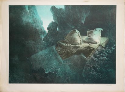 Roland CAT (1942-2016)
La plongée, 1983
Lithographie...