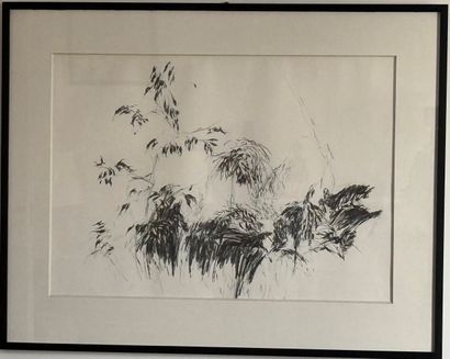 Contemporary school in the style of Sam SZAFRAN
Foliage
Charcoal...