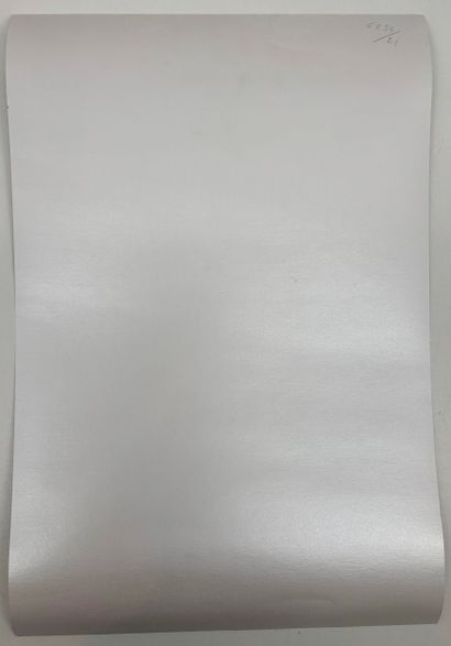 MARARI ?
Dunes
Silkscreen on silver paper...