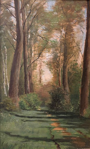 Hortense JANVIER (1896-?)
Sous-bois
Huile...