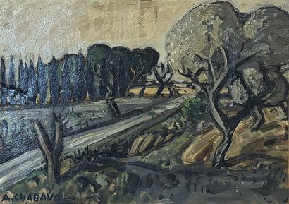 Auguste CHABAUD (1882-1955)
Paysage
Huile...