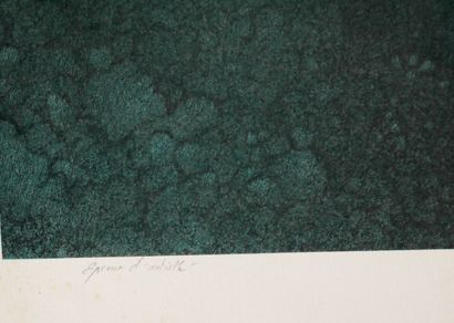 Roland CAT (1942-2016)
La plongée, 1983
Lithographie...