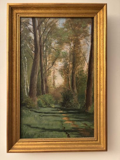 Hortense JANVIER (1896-?)
Sous-bois
Huile...