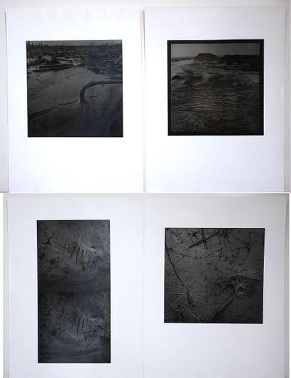 Contemporary school
Landscape
Four black-and-white...