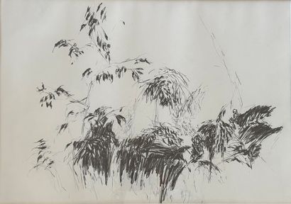 Contemporary school in the style of Sam SZAFRAN
Foliage
Charcoal...