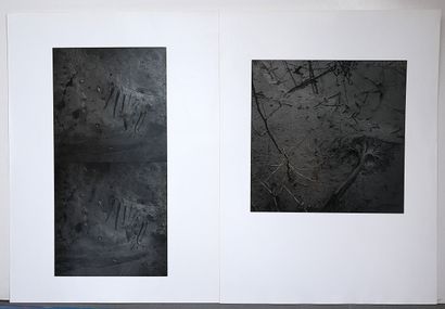 Contemporary school
Landscape
Four black-and-white...