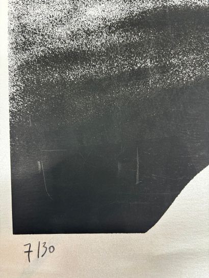 MARARI ?
Dunes
Silkscreen on silver paper...