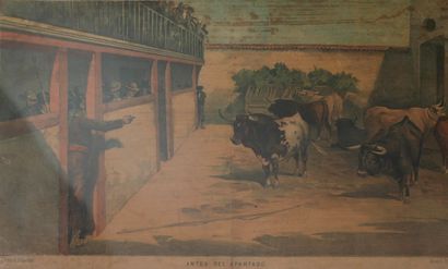 J. PALACIOS on the theme of bullfighting
-...