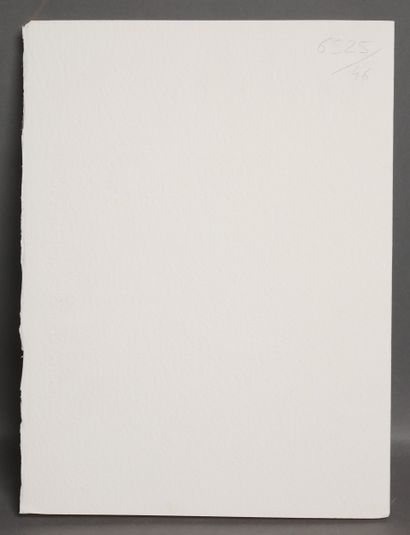 Enrico BAJ (1924-2003)
Vitratto meccanico
Lithographie...