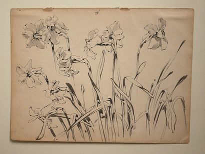 School of the 19th c.
Landscapes, portraits,...