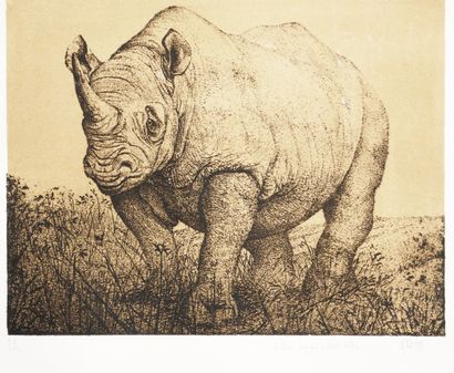 Roland CAT (1942-2016)
Rhinocéros, 1977
Eau...