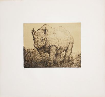 Roland CAT (1942-2016)
Rhinocéros, 1977
Eau...