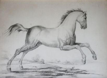 School of the XIXIth c.
The horse
Print on...