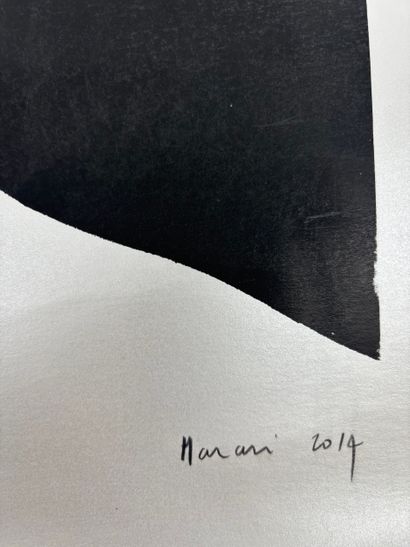 MARARI ?
Dunes
Silkscreen on silver paper...