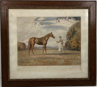 Scott BRODGE WATER, after
Doriana, born at...