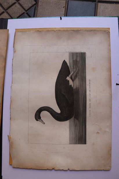 François PIRON - Jacques Louis COPIA, engraver
A...