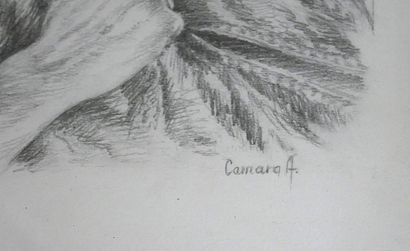 A. CAMARA
Portrait of a Woman
Graphite, signed...