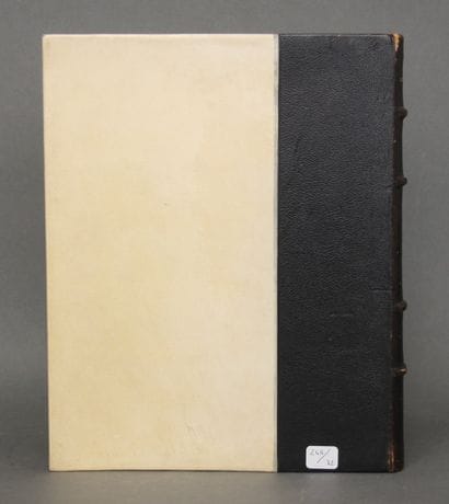 ROUFFI - Benjamin SARRAILLON ill.
Dans l'abime...
