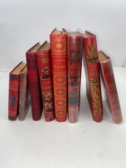Lot de 8 livres de Prix, cartonnages d’éditeurs...