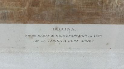 Scott BRODGE WATER, after
Doriana, born at...