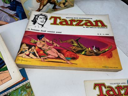 TARZAN 
Lot of approximately 40 albums, comic...