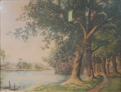 Francis ROTH (1883-1932):
Undergrowth and...