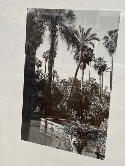 Les jardins de la Villa Majorelle
Suite de...