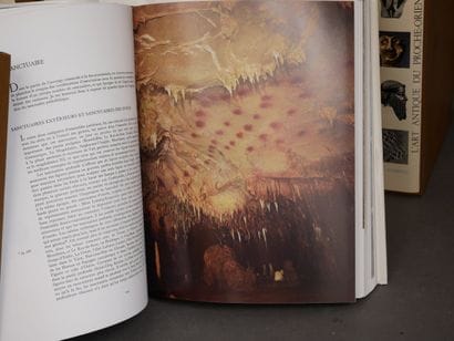 MAZENOD
Suite de dix volumes sous emboitage...