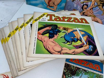 TARZAN 
Lot of approximately 40 albums, comic...
