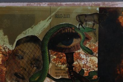 Madeleine BRIEUX (1919-1999)
Composition...