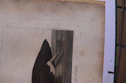 François PIRON - Jacques Louis COPIA, engraver
A...
