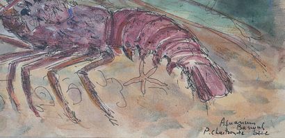 Pierre CHARTRON (1921-2013)
Aquarium de Banyuls
Aquarelle...