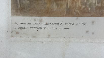 Scott BRODGE WATER, after
Doriana, born at...