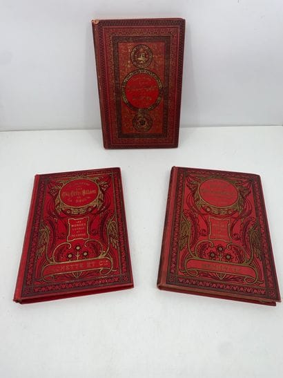 Jules VERNE 
Set including: 
The Adventures...