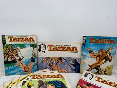 TARZAN 
Lot of approximately 40 albums, comic...