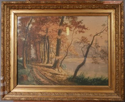 Francis ROTH (1883-1932):
Undergrowth and...