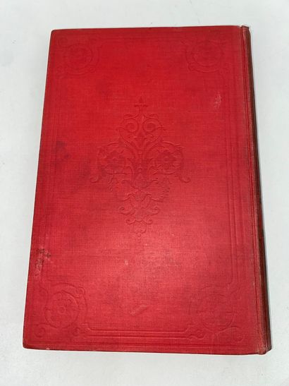 Jules VERNE 
The Amazing Adventure of the...