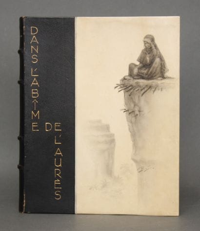 ROUFFI - Benjamin SARRAILLON ill.
Dans l'abime...