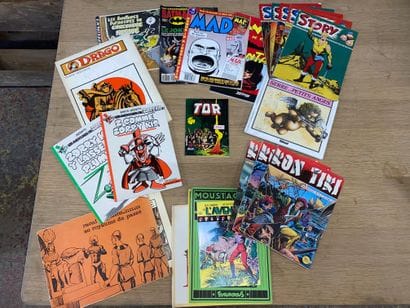 Important lot de BD et livres d’enfants,...