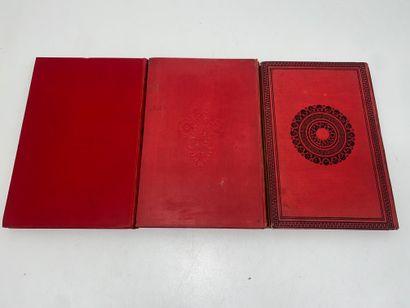 Jules VERNE 
Set including: 
The Adventures...