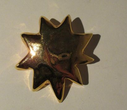 Broche étoile Christian lacroix