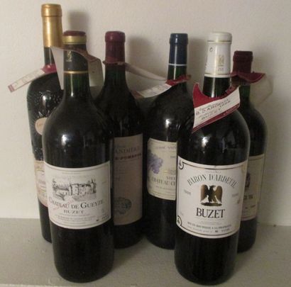 Ensemble de 6 magnums 			

1 magnum BUZET...