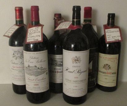 Ensemble de 6 magnums 				

1 magnum CH....