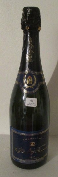 1 bouteille de CHAMPAGNE 