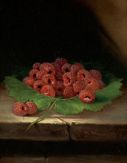 MARIO Alessandro (XIXème siècle)
