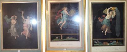D'URBINO Raphaël. D'après
