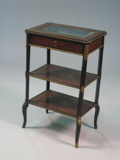 TABLE-VITRINE de forme rectangulaire en placage...
